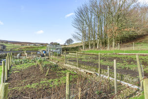 Photo 41- click for photo gallery